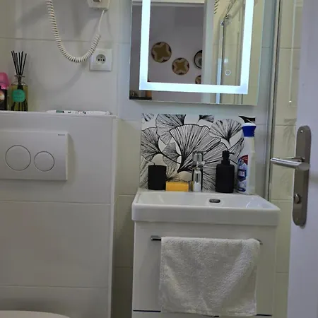 La Rose Blanche Apartament Massy (Essonne)