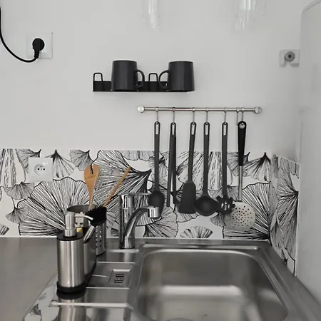 La Rose Blanche Apartment